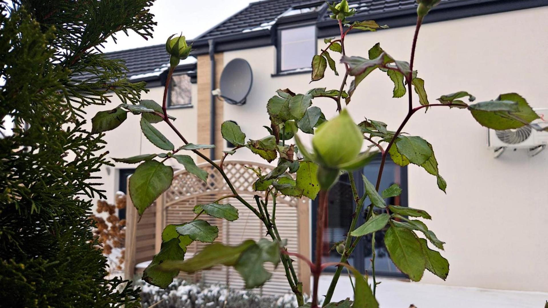 Nadmorska Osada Villa Oslonino Eksteriør bilde